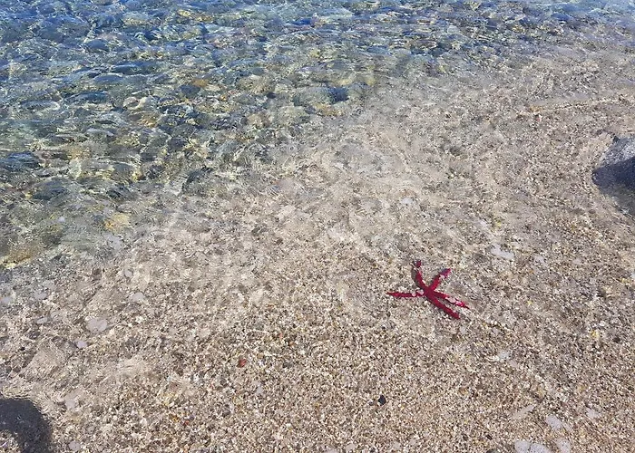 Дом отдыха Cinzia Vista Mare