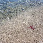 Dom wakacyjny Cinzia Vista Mare
