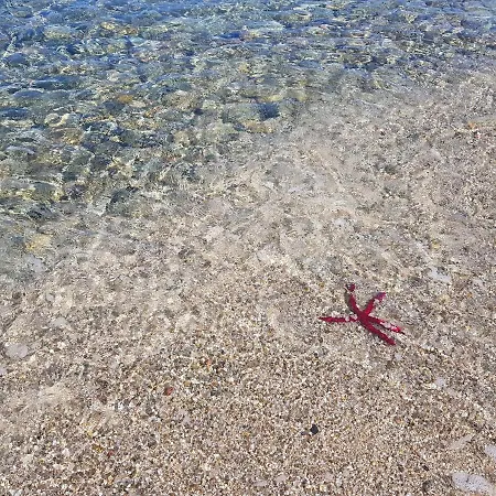 Vakantiehuis Cinzia Vista Mare